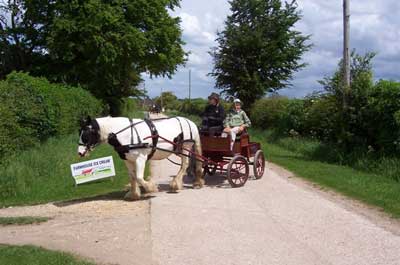 Liz Bullock and Elizabeth Gallop